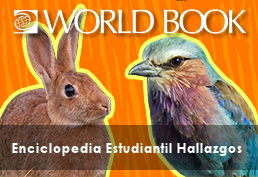 small worldbook hallazgos